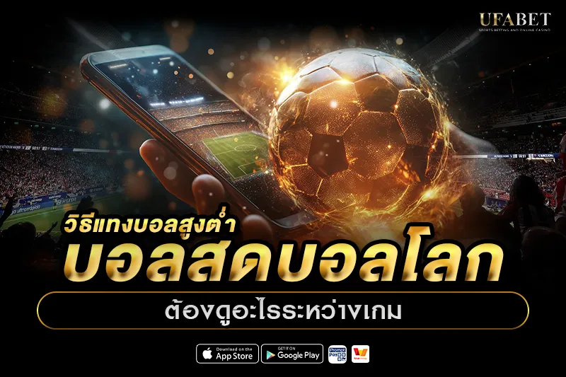 วิธีแทงบอลสูงต่ำบอลสดบอลโลก ต้องดูอะไรระหว่างเกม