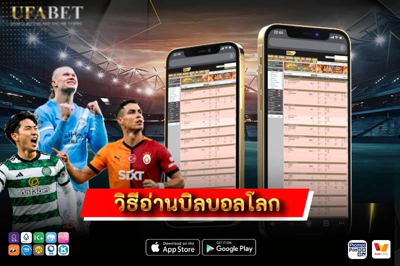 วิธีอ่านบิลบอลโลก เข้าใจทุกตัวเลขในบิลเดียว เช็กผลได้ทันทีและคำนวณเงินไม่พลาด